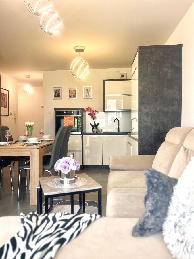 Downtownapartments Andy Air-Conditioned, Underground Parking Available Rzeszów Eksteriør bilde