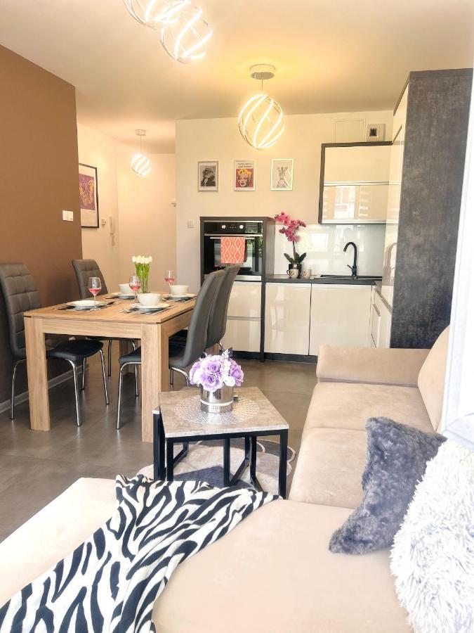 Downtownapartments Andy Air-Conditioned, Underground Parking Available Rzeszów Eksteriør bilde