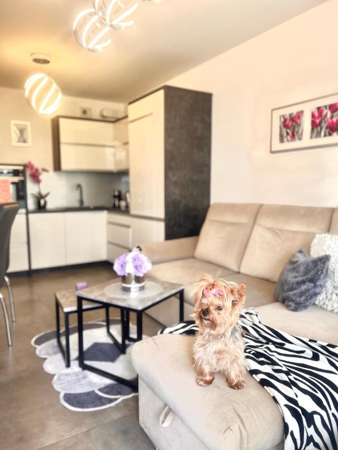 Downtownapartments Andy Air-Conditioned, Underground Parking Available Rzeszów Eksteriør bilde